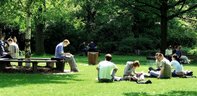 Grünfläche auf dem UKE-Campus