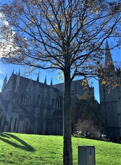 Ein Bild der Saint Patricks Kathedrale