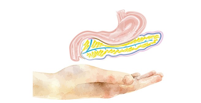 Bauchspeicheldrüsen-Transplantation am UTC im UKE